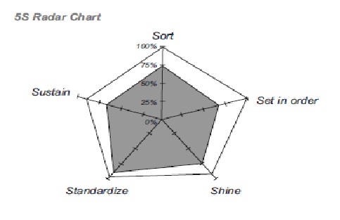 5S Radar Chart